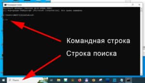 Строка поиска и командная строка терминала Windows Строка поиска и командная строка терминала Windows