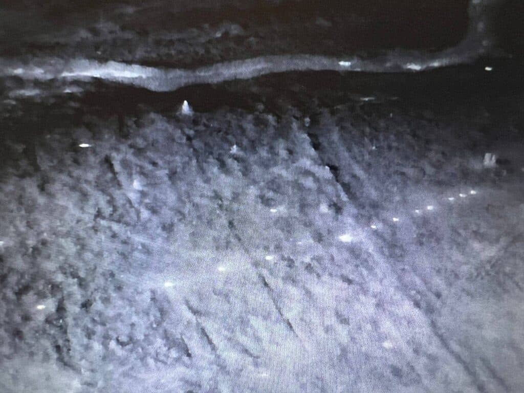 mines-thermal-image Поиск мин с помощью тепловизора